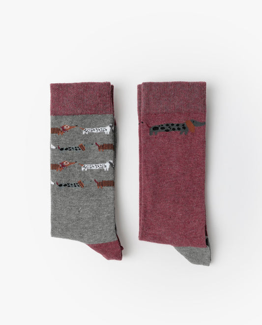 Calcetín de Caña Normal Dog Home para Hombre, (Caja de 6 pares)