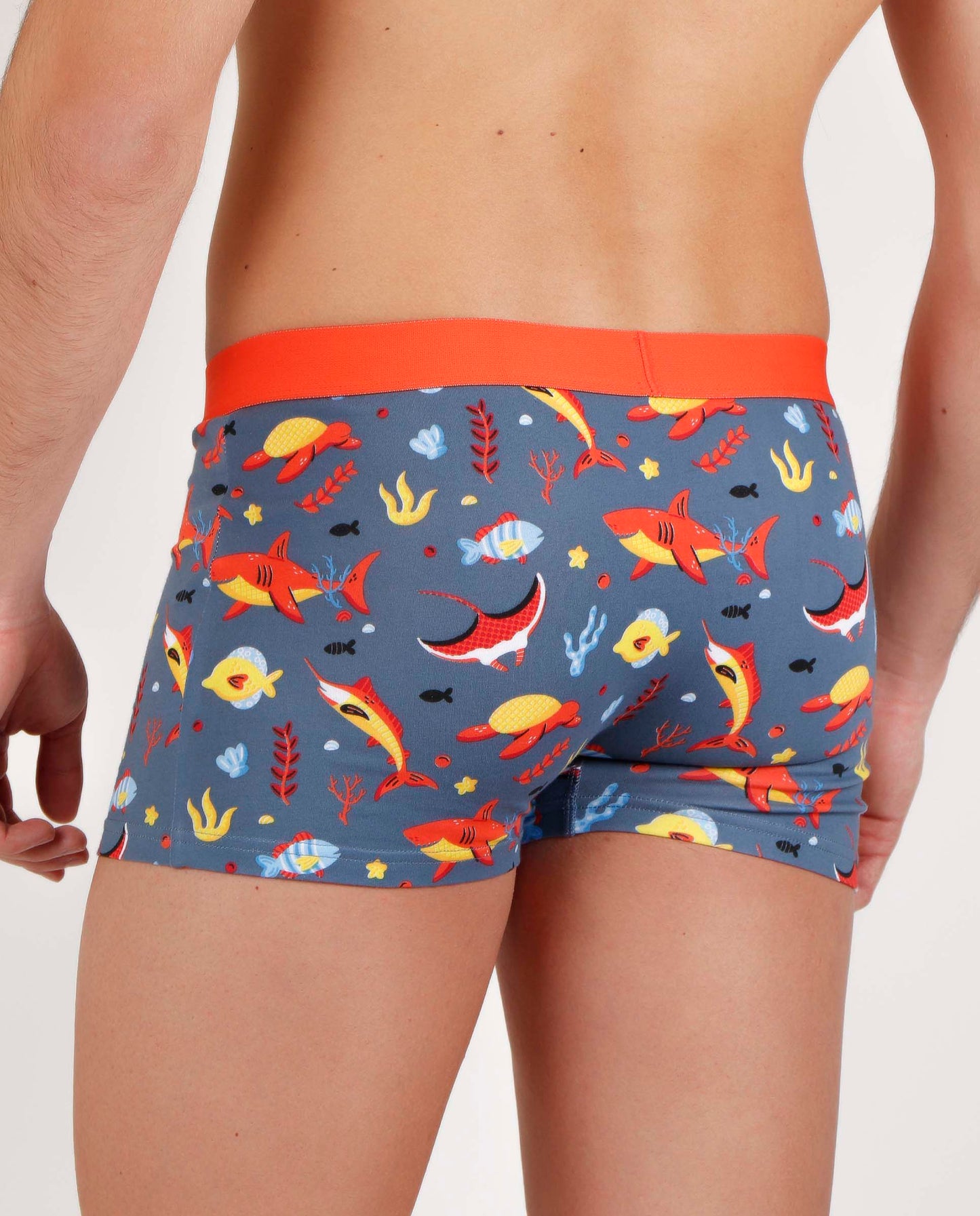 Calzoncillo/Bóxer Marine para Hombre, (Caja de 2 unidades)