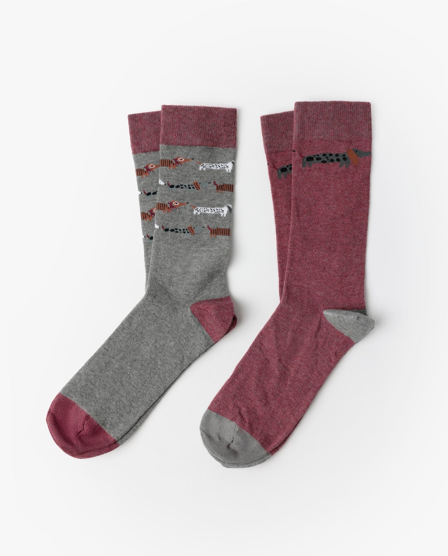 Calcetín de Caña Normal Dog Home para Hombre, (Caja de 6 pares)