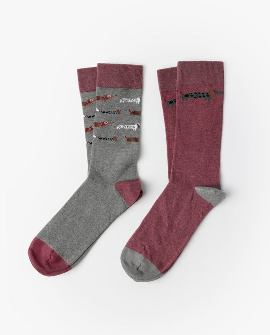 Calcetín de Caña Normal Dog Home para Hombre, (Caja de 6 pares)