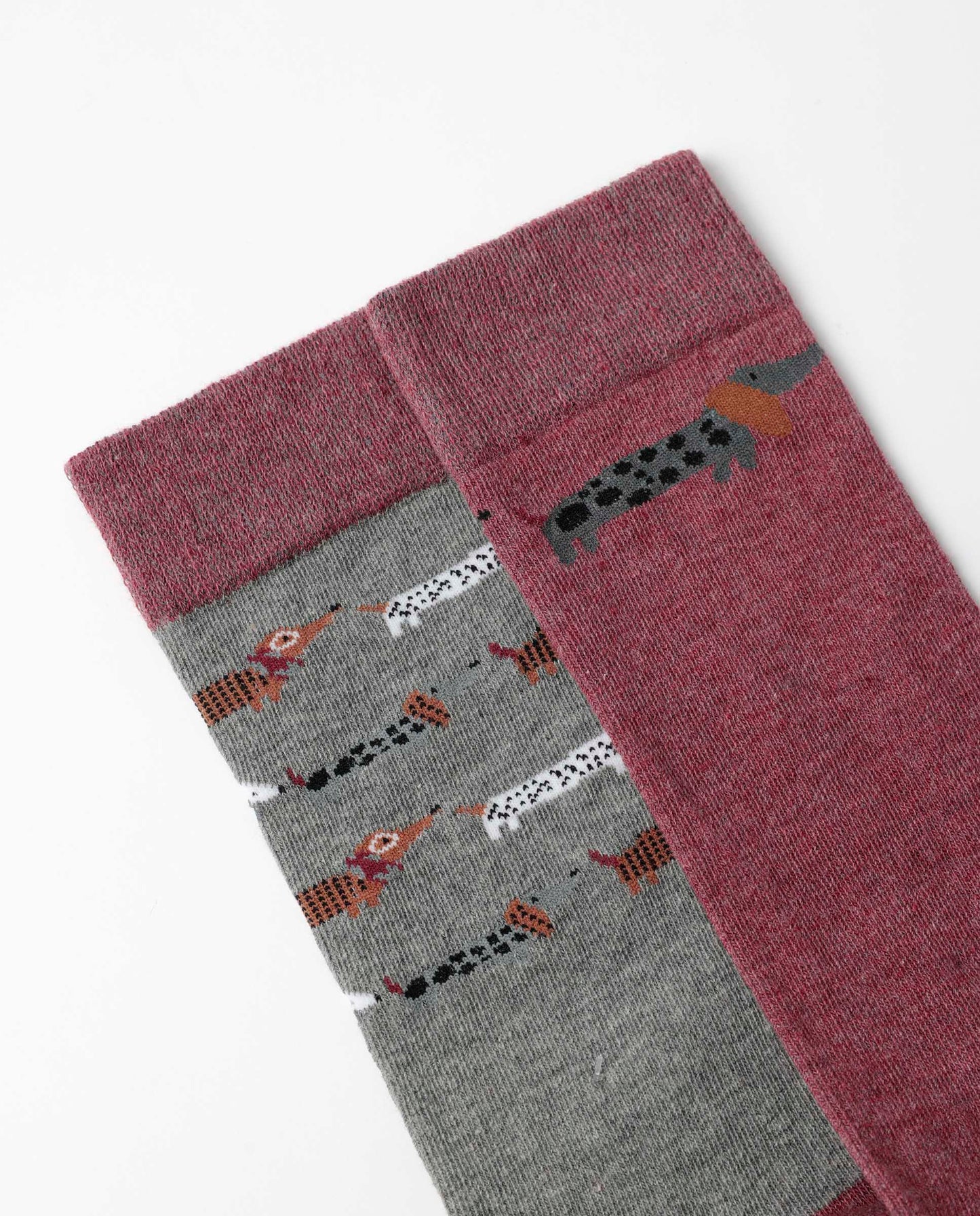 Calcetín de Caña Normal Dog Home para Hombre, (Caja de 6 pares)