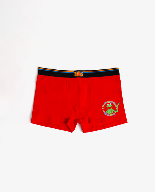 Calzoncillo/Bóxer Kermit Show Bote Metal Regalo para Hombre