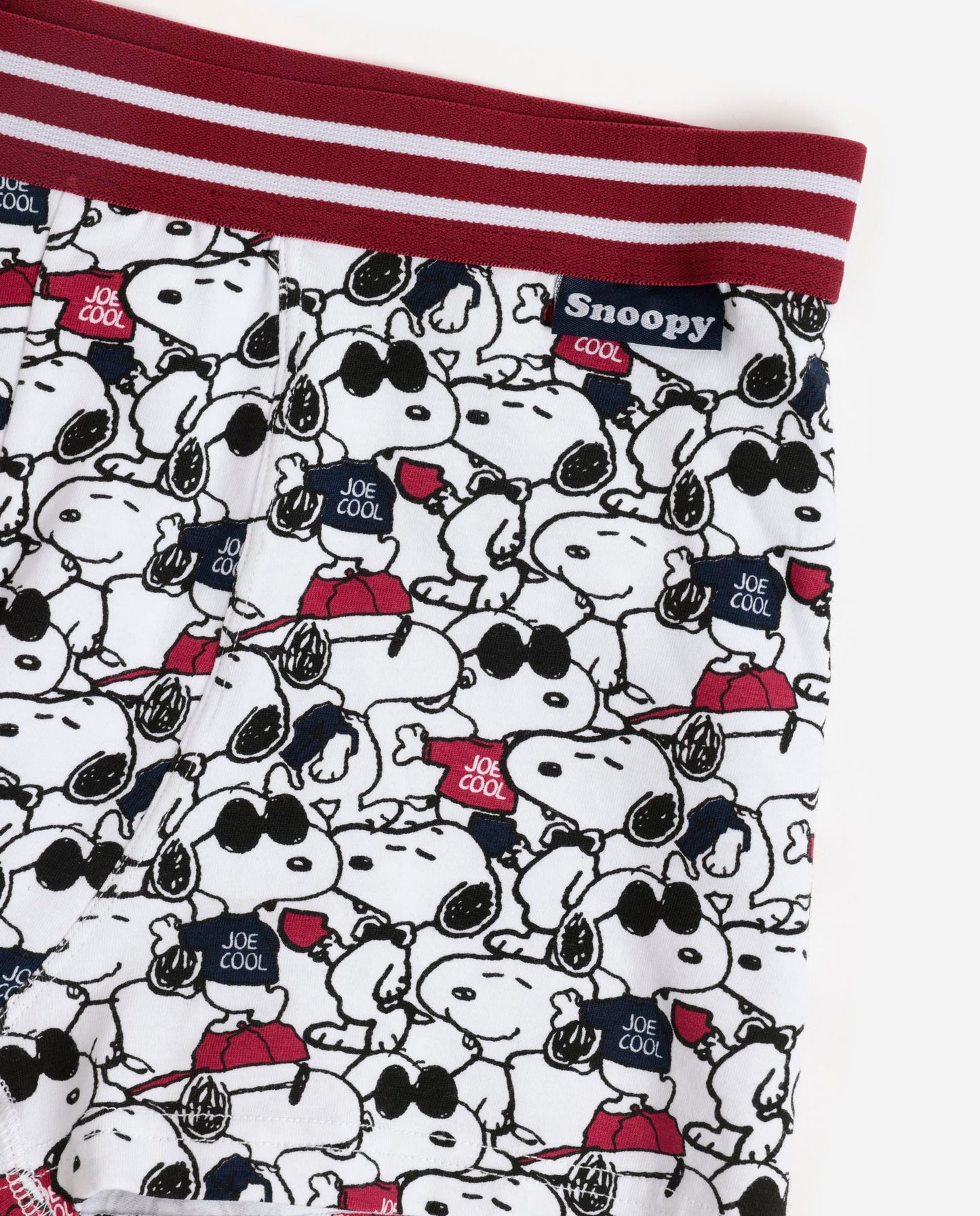 Calzoncillo/Bóxer Joe Cool para Hombre, (Caja de 2 unidades)