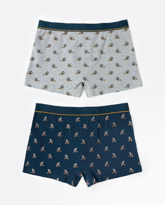 Calzoncillo/Boxer Pixel Classic para Hombre, (Caja de 2 unidades)